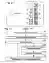 Fig. 07 - Error diffusion-derived sub-resolutional grayscale reticle