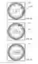 Fig. 04 - Visual divided attention training