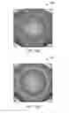 Fig. 09 - Visual divided attention training