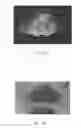 Fig. 07 - Tissue-mimicking phantom for prostate cancer brachytherapy
