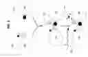 Fig. 03 - Biological targeting compositions and methods of using the same