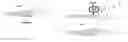 Fig. 01 - Proofreading primer extension