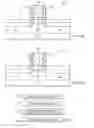 Fig. 13 - FUSI integration method using SOG as a sacrificial planarization layer