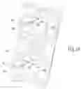 Fig. 14 - Safety receptacle with tamper resistant shutter