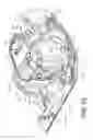 Fig. 10 - Jet propulsion trim and reverse system