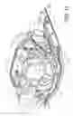 Fig. 11 - Jet propulsion trim and reverse system