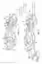 Fig. 02 - Toy