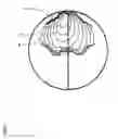 Fig. 06 - Full closed loop auto antenna tuning for wireless communications