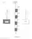 Fig. 09 - Methods and apparatus of providing transmit and/or receive diversity with multiple antennas in wireless communication systems