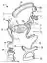 Fig. 01 - EXERCISE DEVICE AND METHOD OF EXERCISING