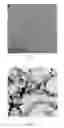 Fig. 02 - Electrode Catalyst  of Carbon Nitride Nanotubes Supported by Platinum and Ruthenium Nanoparticles and Preparation Method Thereof