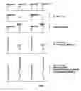 Fig. 02 - METHODS OF USING AN ARRAY OF POOLED PROBES IN GENETIC ANALYSIS
