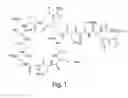 Fig. 02 - METHODS FOR PREPARING PURIFIED LIPOPEPTIDES