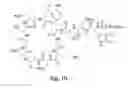 Fig. 16 - METHODS FOR PREPARING PURIFIED LIPOPEPTIDES