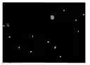 Fig. 01 - PEPTIDES TARGETED TO PROTEIN KINASE C ISOFORMS AND USES THEREOF