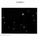 Fig. 02 - PEPTIDES TARGETED TO PROTEIN KINASE C ISOFORMS AND USES THEREOF
