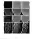 Fig. 02 - SUPPRESSION OF MITOCHONDRIAL OXIDATIVE STRESS