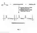 Fig. 02 - Enzyme-catalyzed polycarbonate and polycarbonate ester synthesis
