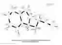 Fig. 35 - NEW SALT FORMS OF AN AMINOINDAN DERIVATIVE