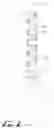 Fig. 03 - Safety syringe