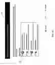 Fig. 09 - Enhanced exporter tool