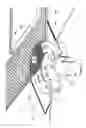 Fig. 02 - Shower pan drain assembly system