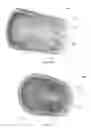Fig. 16 - Low shock strength propulsion system
