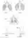 Fig. 02 - Air filter for endonasal use