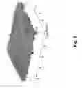 Fig. 02 - SOLVENT SYSTEM
