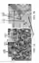 Fig. 02 - Hetero-nanostructures for solar energy conversions and methods of fabricating same