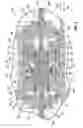 Fig. 09 - Valve assembly with low resistance pilot shifting
