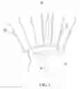 Fig. 06 - ANNULAR HEAT DISSIPATING DEVICE
