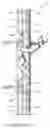 Fig. 02 - Ladder safety apparatus