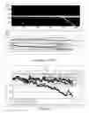 Fig. 06 - Particle-based microfluidic device for providing high magnetic field gradients