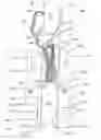 Fig. 01 - Packaging For Surgical Sutures