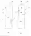 Fig. 06 - Packaging For Surgical Sutures