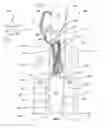 Fig. 07 - Packaging For Surgical Sutures
