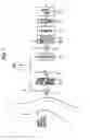 Fig. 02 - Water-Purification Pretreatment System