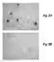 Fig. 07 - ALUMINUM WELDING OF AIRCRAFT ENGINE COMPONENTS