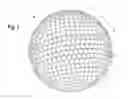 Fig. 02 - CONTAINER FOR LAUNDRY DETERGENT MOLDINGS