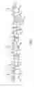 Fig. 09 - REUSABLE APPARATUS AND METHOD FOR ARTICLE CAPTURING, STORING AND DISPENSING