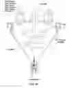 Fig. 09 - Plasma whirl reactor apparatus and methods of use