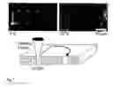 Fig. 08 - Fast thermo-optical particle characterisation