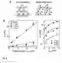 Fig. 09 - Fast thermo-optical particle characterisation