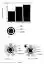 Fig. 30 - Fast thermo-optical particle characterisation