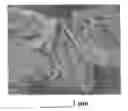 Fig. 01 - Supercritical fluid process for producing nano graphene platelets