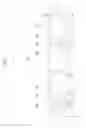Fig. 02 - Semiconductor devices having a planarized insulating layer
