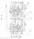 Fig. 34 - Semiconductor devices having a planarized insulating layer