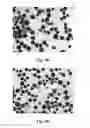 Fig. 03 - Preparation of capsules