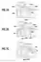 Fig. 08 - Printing apparatus and method for detecting origin of conveying roller